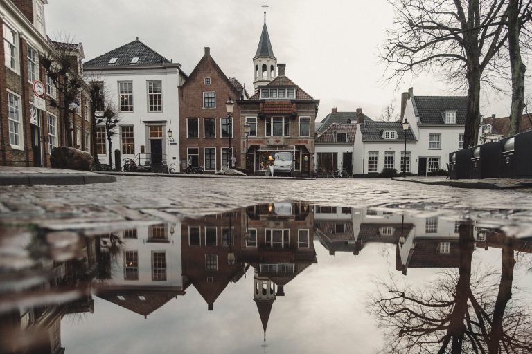 Nederlandse vlag