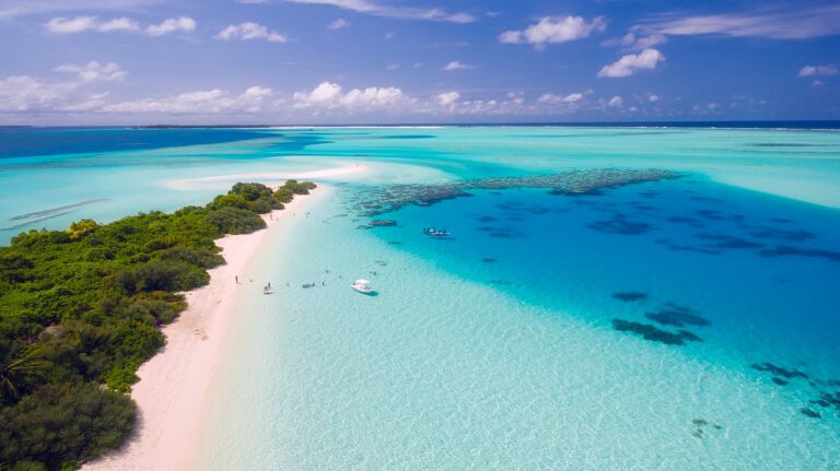Een fijne zomer vakantie Een fijne zomer vakantie